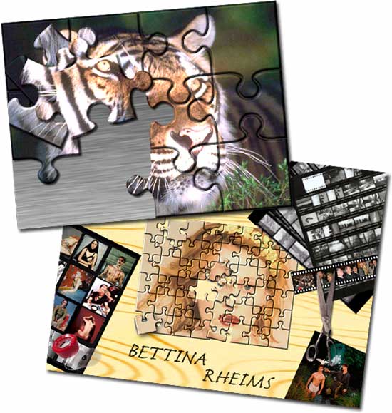 Puzzle: second briefing.